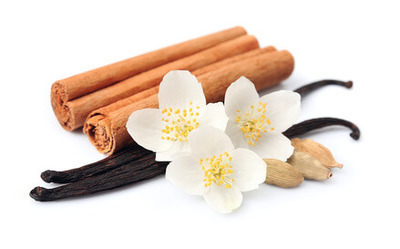 Tanzania Cinnamon