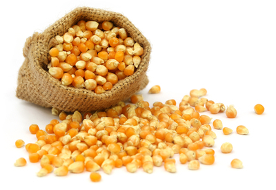 Uganda Maize