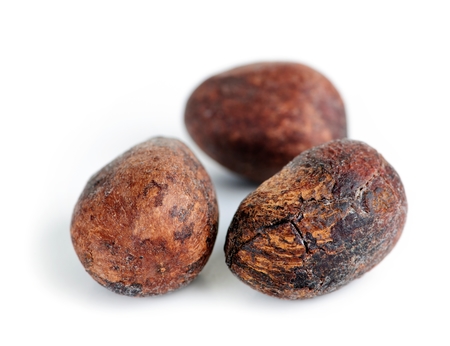 Uganda Shea Nuts