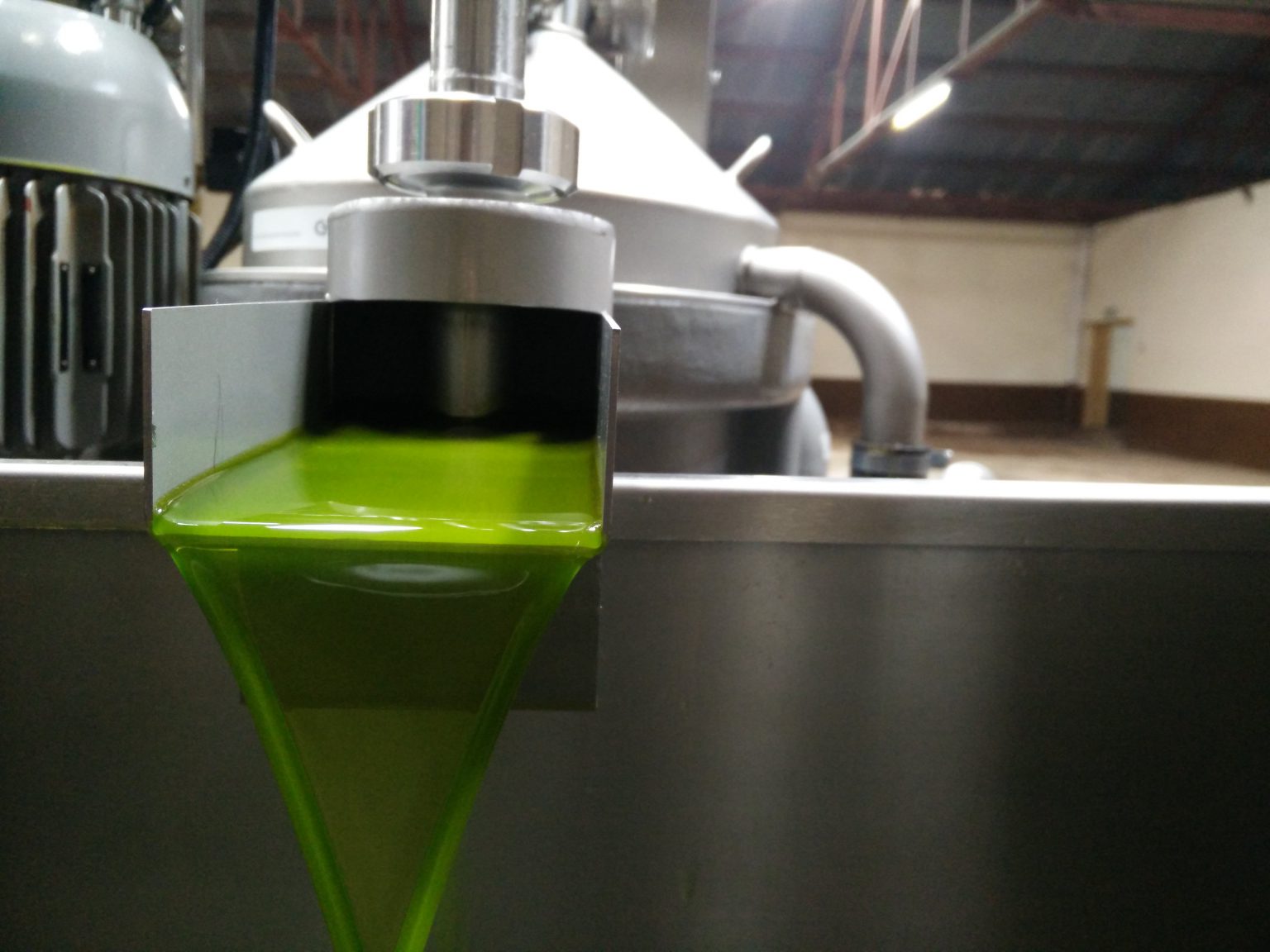 Kenya Extra Virgin Avocado Oil » Selina Wamucii