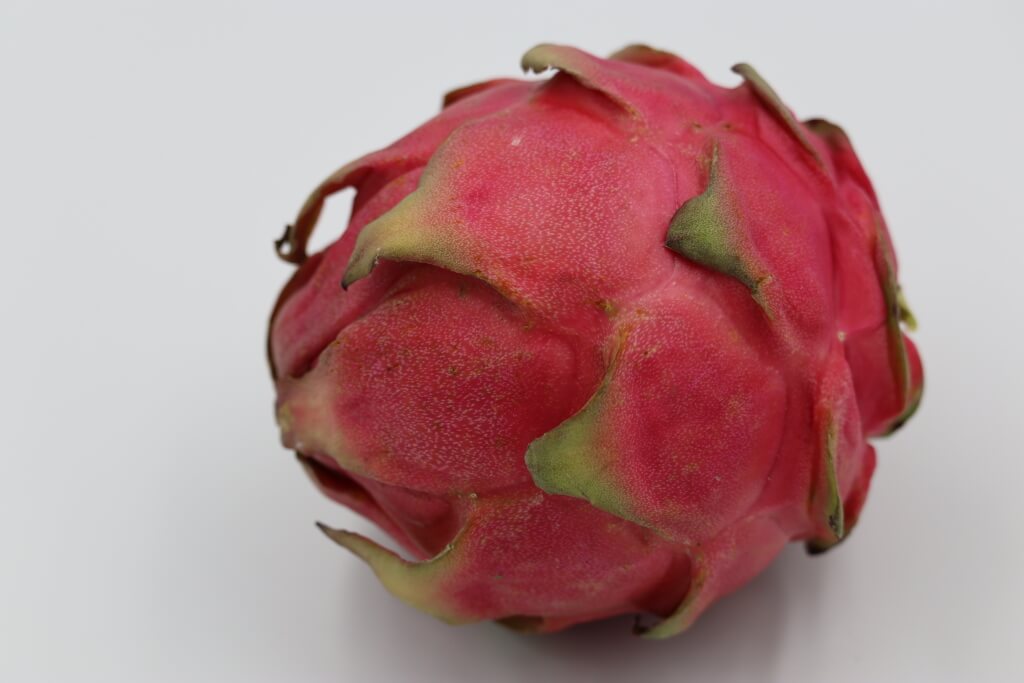 Seeds Shop  Pitaya Red Dragon fruit Seeds - Plant & Growing Guide