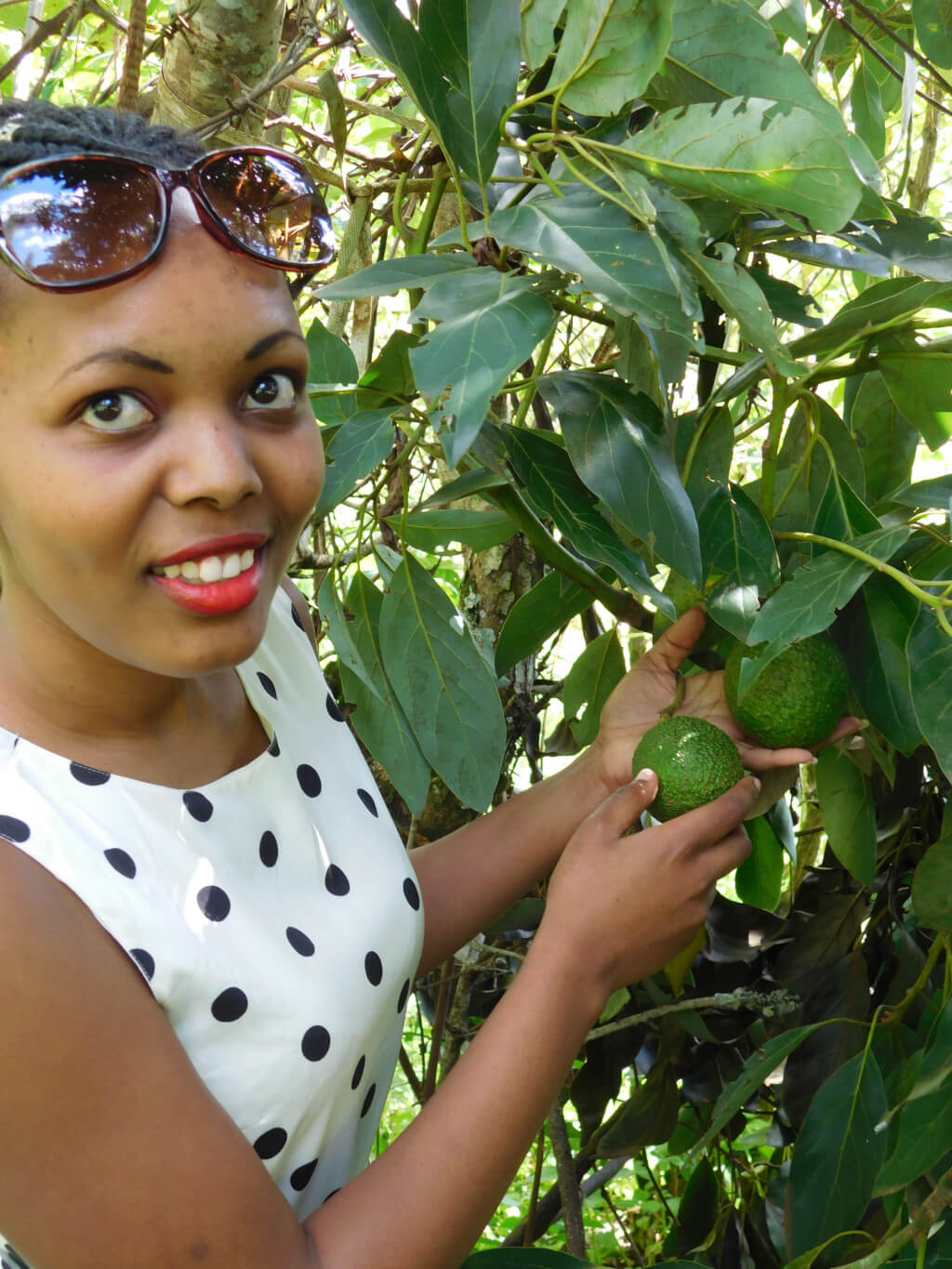 A smallholder farmer at harvest - Selina Wamucii sources produce directly from farms